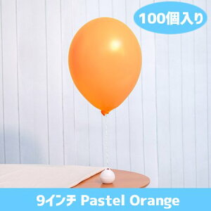 9C` pXe IW 100D o[ a p[eB[  v[g JXj 肩킢  ӂ LN^[ o[Xf[ v[g wEKX Mtg 