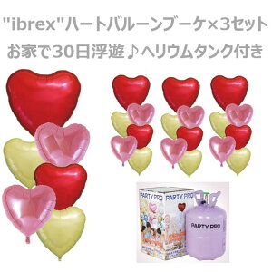 yibrexn[go[u[P×3Zbgz wE {x wE^NtZbg DpwE^N PARTY PRO a o[ a t o[ wEKX Dp wE