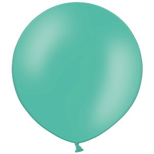  傫 D o[}VF60cmrbOo[ tHXgO[ 60cm 0723060015 1Zbg(1)