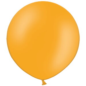  傫 D o[}VF60cmrbOo[ IW 60cm 0723060017 1Zbg(1)