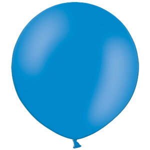  傫 D o[}VF60cmrbOo[ ~bhu[ 60cm 0723060020 1Zbg(1)