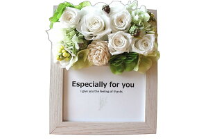 ycƓ14ztHgt[ ʐ^ ̓  a av[g Mtg j e c  60  50 j 80 ̐l   uU[ht[ 