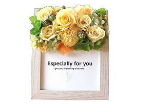 ycƓ14ztHgt[ ʐ^ ̓  a av[g Mtg j e c  60  50 j 80 ̐l   uU[ht[ 