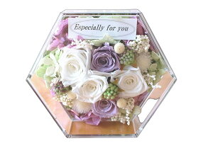 ycƓ14zvU[uht[ j  Mtg   ~j  ybg  ̋ o t[Mtg uU[ht[  a ސEj ͂