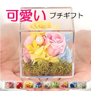 ycƓ14zvU[uht[ v`Mtg  Mtg   ~j  ybg  ̋ o d t[Mtg uU[ht[  a ސEj