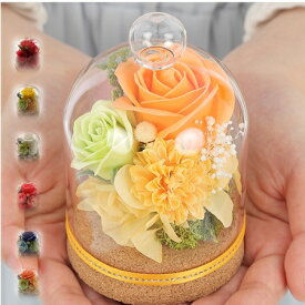 誕生日 花 誕生日プレゼント お祝い プリザーブドフラワー ガラスドーム ペット お悔やみ花 お悔やみ プチギフト ギフト 仏花 ミニ お供え お悔やみ フラワーギフト ブリザードフラワー お供え 退職祝い 枯れない花 結婚記念日 結婚祝い