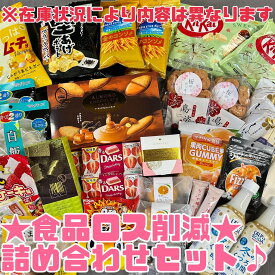 福袋 詰め合わせ【☆食品詰め合わせセット☆】 フードロス 食品ロス 食品ロス削減活動 フードロス 訳有食品 防災食品 非常食 パン お菓子 ジュース 訳あり 食品 飲料 賞味期限切れ 賞味期限間近 NPO法人日本もったいない食品センター エコイート 送料無料