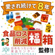 福袋 詰め合わせ【☆食品詰め合わせセット☆】 フードロス 食品ロス 食品ロス削減活動 フードロス 訳有食…
