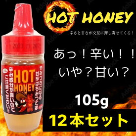 ホットハニー アメリカで大人気！ スパイシー蜂蜜 甘辛はちみつ ピリ辛 ハチミツ 105g×12本セット 送料無料 賞味期限2024.2.16 賞味期限切れ 辛いのに甘い 不思議な調味料 天長食品 エコイート 通販 食品ロス削減 食品ロス 甘辛 日本もったいない食品センター