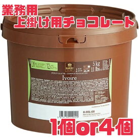 選べる数量♪ 【アイボリー】バリー パータグラッセ イヴォワール 5kg 業務用 製菓 材料 チョコレート お菓子 ケーキ アイス ムース パティシエ 大人気 数量限定 送料無料 食品ロス 削減 フードロス エコイート 日本もったいない食品センター