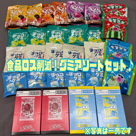 【グミアソートセット】ミニオングミ ブンブンジャーグミ チョコグミ フリーズドライグミ チョコグミ イベント用 大容量 おやつ 配布用 セット販売 グミ エコイート 通販 送料無料 最安値 激安 大人気 数量限定 今だけ価格 食品ロス削減 日本もったいない食品センター