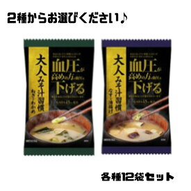 味噌汁フリーズドライ 大人の みそ汁習慣12食入り【ねぎとわかめ】【なすと油揚げ】即席 機能性表示食品 GABA 血圧 エコイート 通販 送料無料 最安値 激安 大人気 数量限定 フリーズドライ 食品ロス削減
