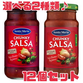 サルサソース【チャンキーサルサ】 選べる種類♪ 賞味期限2025年12月20日以降 サンタマリア マイルド ホット 野菜たっぷり メキシコ料理 エコイート 通販 日本もったいない食品センター 食品ロス 削減 フードロス