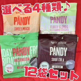 グミ 【パンディグミ 選べる4種】12袋セット 賞味期限2025年8月22日以降 パンディ ハードグミ お菓子 サワー コーラ スィート ピーチ ウォーターメロン フラッフィ クラウド グミ エコイート 通販 送料無料数量限定 食品ロス フードロス 削減 日本もったいない食品センター