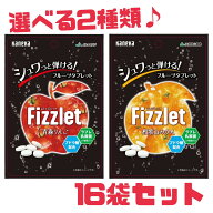 タブレット 【フィズレット 選べる味！】16袋セット 和歌山 みかん 青森 りんご 賞味期限2026年7月15日以…