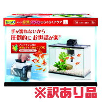 楽天市場】在庫処分セール（水槽｜水槽・アクアリウム）：熱帯魚 