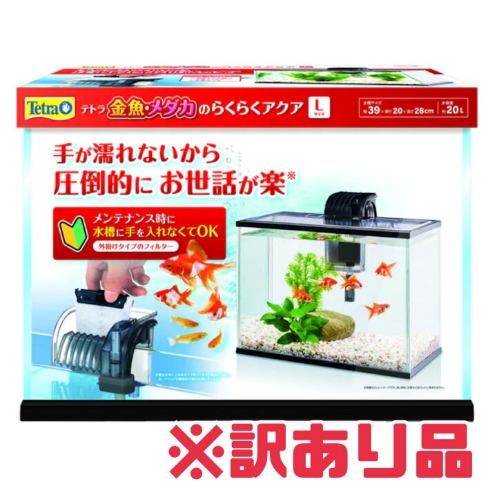 楽天市場】訳あり テトラ【@らくらくアクアL】割れあり 大特価 雑貨 