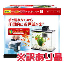 楽天市場】訳あり（水槽｜水槽・アクアリウム）：熱帯魚・アクアリウム 