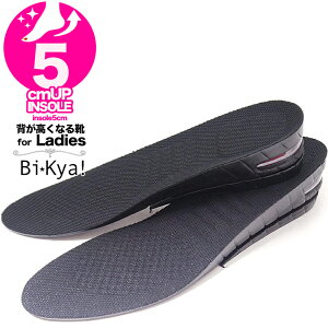V[NbgC\[ 5cmY fB[X2i TCY\Cɓ̌CV[NbgV[Yɑϐg5cmwȂC\[insole5cm