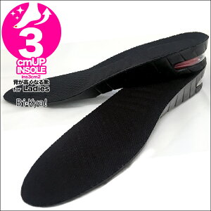 V[NbgC\[ 3cmAbv3cmwȂC\[Y fB[XʃV[NbgC\[ŃV[NbgV[Yɑϐgins3cm2