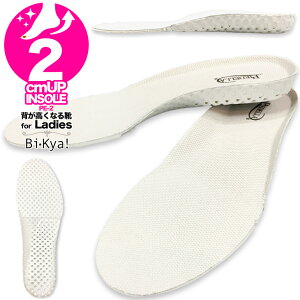 2cmgAbv V[NbgC\[ Cɓ̌CV[NbgV[Y V[NbgXj[J[ V[Nbgu[c Cq[Xj[J[ɑϐg Nł2cmw