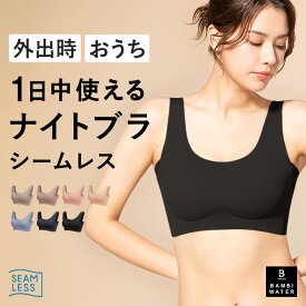 本日終了＼P5倍／ ナイトブラ シームレス 育乳 ブラジャー 育乳ブラ ノンワイヤー ブラ 昼夜兼用 脇高 大きいサイズ 小胸 脇肉 谷間 盛れる 薄手 響かない 快適 楽 さらさら 通気性 無地 痛くない バンビウォーター 夏用 夏