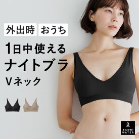 終了間近＼P5倍／ ナイトブラ Vネック 育乳 ノンワイヤー ブラジャー 育乳ブラ ブラ 昼夜兼用 脇高 大きいサイズ 小胸 脇肉 バストケア 谷間 盛れる 快適 楽 通気性 無地 痛くない おしゃれ バンビウォーター 夏
