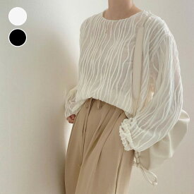 【半額クーポン対象】トップス 楊柳 ブラウス シアー ランダムプリーツ クルーネック ゆったり 長袖 レディース 上品 華やか 韓国ファッション 【24aw-it18】【予約販売：15-20日】【送料無料】60込