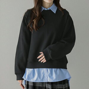 ySizN[|zzzh} XEFbg vI[o[ W[W[   Vv lJWA fB[X   t[TCY [ 2025H~