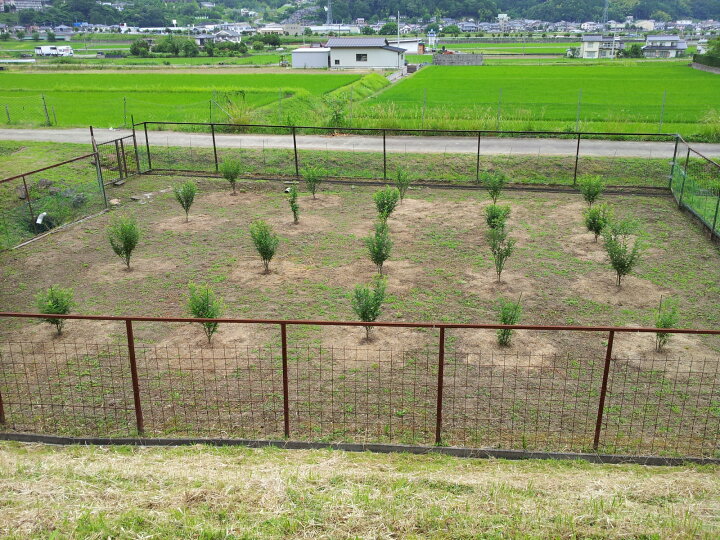 楽天市場 雑草対策 竹チップ マルチ マルチング 2袋 10kg 雑草の悩み 解消 草取りが苦手 な方も 手間いらず 庭 庭木 果樹 苗木 花壇 プランター ガーデニング 乾燥対策 雑草対策 防草効果 家庭菜園 ベランダ菜園 表面敷 草刈り 草むしりが楽 マルチング材 どろ