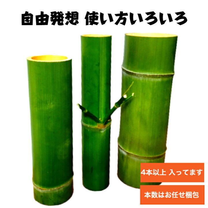 楽天市場 送料無料 竹材 孟宗竹 青竹 大小4本 6本入り Diy 手作り 竹工芸 竹あかり 工作 小学生 高学年 大人 竹 ハンドメイド キット おうち時間 連休 イベント ワークショップ 竹灯篭 竹とうろう 竹の皿 竹の器 竹のインテリア 室内灯 自由発想 オリジナル 太い竹