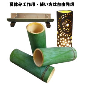 【楽天1位】 竹 竹材 青竹 大中 3本 イ ベント 自由研究 趣味 工作キット 工作 小学生 高学年 大人 竹 ハンドメイド オリジナル おうち時間 ワークショップ DIY 手作り 竹工芸 竹あかり 竹とうろう 竹の皿 竹の器 竹のインテリア 室内灯 自由発想 使い方いろいろ 天然素材