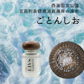 五島の塩 ごとんそると 20g [GOTONごとん] 五島の海水から作った 一番塩 甘みのある 高級塩 無添加塩 美味しい塩 天然塩 無添加 海塩 ご当地調味料 お土産 長崎県 五島列島 綺麗な海水 五島の塩 海水塩 うまみ 食品 調味料 肉料理 おいしい塩 GOTO'N 椿乃 国産 プチギフト