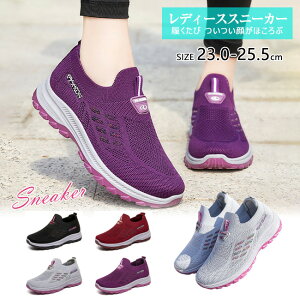  ̓ Xj[J[ fB[X Y jp lC EH[LOV[Y jOV[Y WMOV[Y X|[cV[Y JWA NbVV[Y ^C _