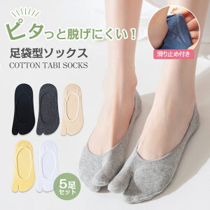  5Zbg tbgJo[ C {w ܃\bNX t H p {w 󗚂 ~  Rbg T_ n Vv  ׂ~  O  T|[^