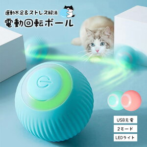  L L炵 d{[ s{[ LI` ybg ЂƂV {[  L̂ USB[d qL 360x] Q  