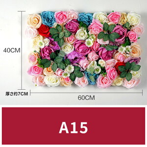  25F t[EH[ 40*60cm    ԕ Ǌ| CX^f JXj CeAO[ EH[pl tFCN EH[A[g EH[fR y tȒP 