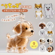 2個セット ペットの毛収納キーホルダー犬 猫 毛 収納 キーホルダー 遺毛 ケース ボトル 透明 カプセル 思…