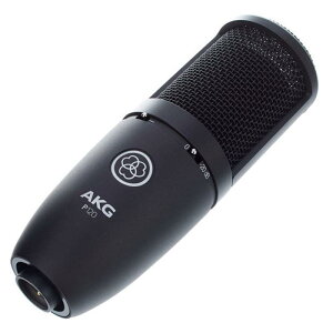 AKG �R���f���T�[�^�}�C�N���z�� PERCEPTION120