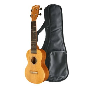 �yFamous�z���Y �\�v���m�E�N���� �n�C�u���b�h�V���[�Y FS-210 �P�[�X�t (�g�b�v�P�� �t�F�C�}�X �}�z�K�j�[�� ��� �ȒP �₳���� ���S�� ����)