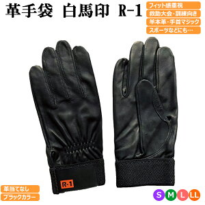 iFjn v hEXL[p R-1  Black ubN v _炩 ĂȂ