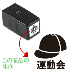 12.^ 炵̃XPW[X^vyZzSŃIWi J_[EXPW[쐬ʃTCYF15×15mmS/X^v/nR/ƌv蒠ɂ҂ s \