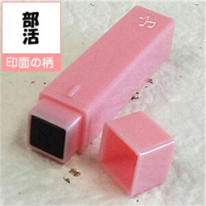 |Pbg XPW[X^vG^iZjIWi J_[EXPW[쐬IʃTCY^6×6mmiTCY^11×11×55mmS/X^v/nR/CXg