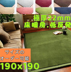 ラグ 190×190 正方形 低反発ラグ 厚手 ラグ 洗える ラグマット 北欧 カーペット おしゃれ 滑り止め付 センターラグ 極厚 マイクロファイバー フランネルラグ 絨毯 リビング こたつ敷きマット 本間 2畳 江戸間 団地間 ラグカーペット へたらない 敷物