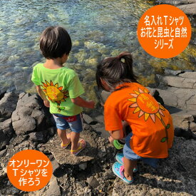 ＼チーム割10％OFFクーポン発行中／名入れ Tシャツ 兄弟 お揃い 出産祝い 姉妹 兄妹 姉弟 オリジナル 名入れtシャツ 子ども tシャツ キッズ ベビー 大人 向日葵 虹 太陽 カブトムシ 花柄 蝶々 ハイビスカス 月 星 保育園 目立つ 運動会 卒園 お揃い 親子 ひらがな 漢字