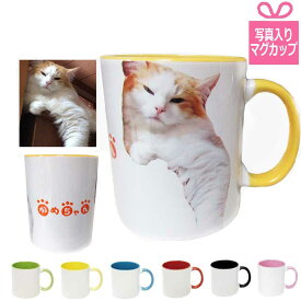 ペット 写真入り 名入れ マグカップ 2022 ワンコ ニャンコ 名入れ オリジナル 犬 猫 お祝い グッズ 誕生日 デザイン わんこ いぬ cat ねこ オーダー サプライズ マイマグ 母の日 父の日 クリスマス ギフト 赤色 黄色 緑色 クリスマスプレゼント