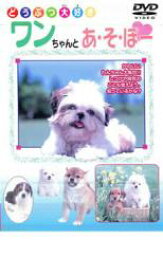 ワンちゃんとあそぼー【趣味、実用 中古 DVD】メール便可 ケース無:: 「売り尽くし」