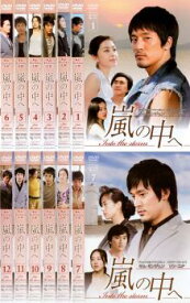 嵐の中へ(12枚セット)第1話〜最終話 字幕のみ【全巻セット 洋画 中古 DVD】ケース無:: レンタル落ち