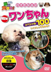 動物大好き!NEWワンちゃんスペシャル100【趣味、実用 中古 DVD】メール便可 ケース無::