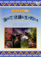 シリーズ ヴィジアル図鑑 3 海の不思議な生き物たち【趣味、実用 中古 DVD】メール便可 ケース無:: レン…